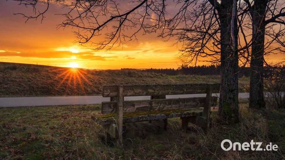 Herbst in der Oberpfalz. Bild: Lena Held