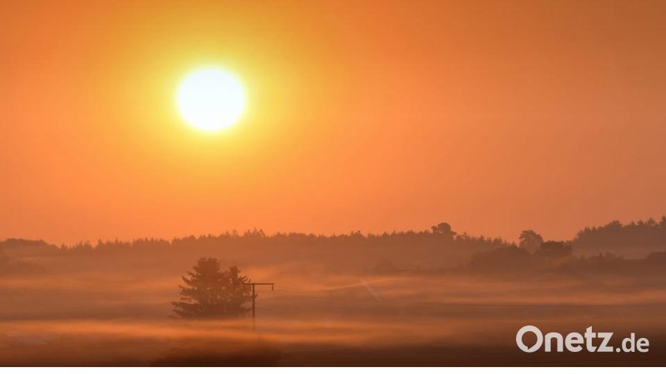 Herbst in der Oberpfalz. Bild: Thomas Heldmann