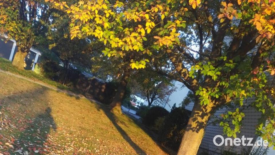 Herbst in der Oberpfalz. Bild: Julian Zeidler