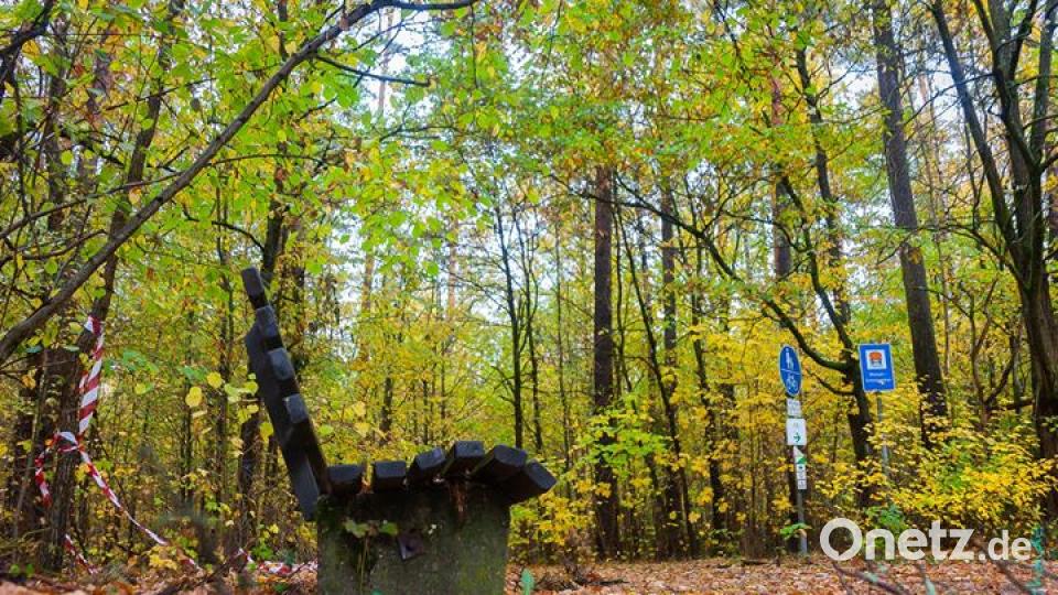 Herbst in der Oberpfalz. Bild: Michael Schade