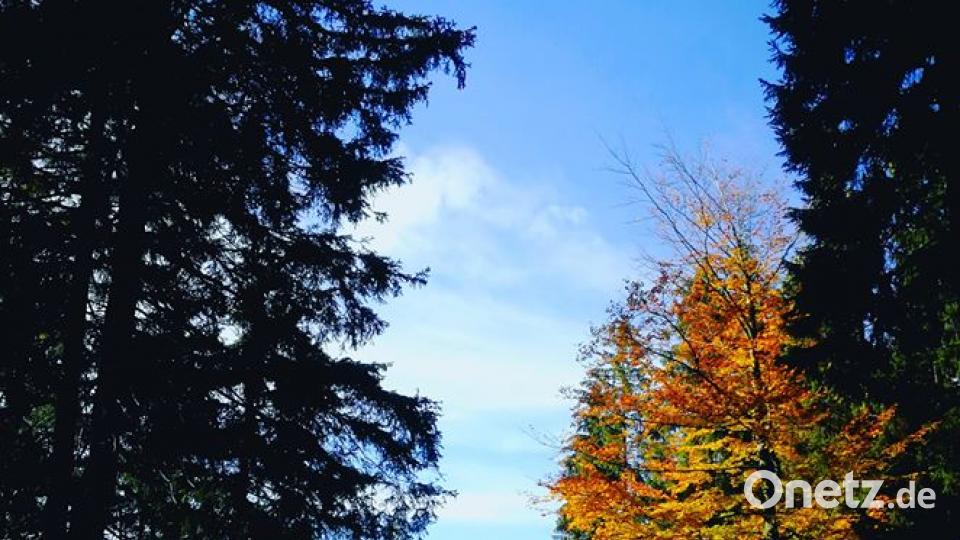 Herbst in der Oberpfalz. Bild: Denise Pscherer