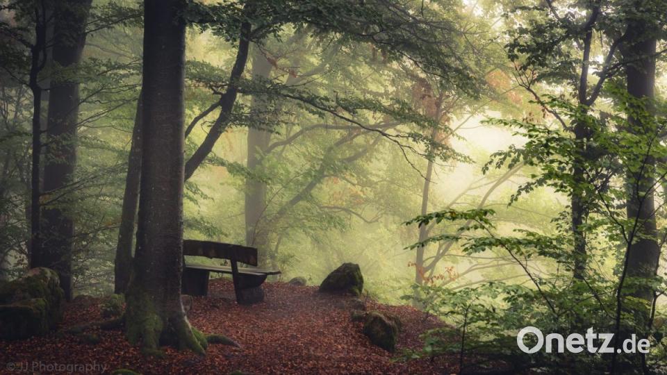 Herbst in der Oberpfalz. Bild: Jürngen Jungnickl