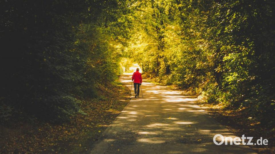Herbst in der Oberpfalz. Bild: Christian Nickl.