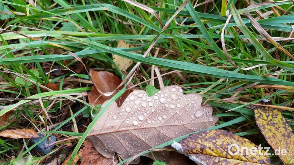 Herbst in der Oberpfalz. Bild: BeTina Leier