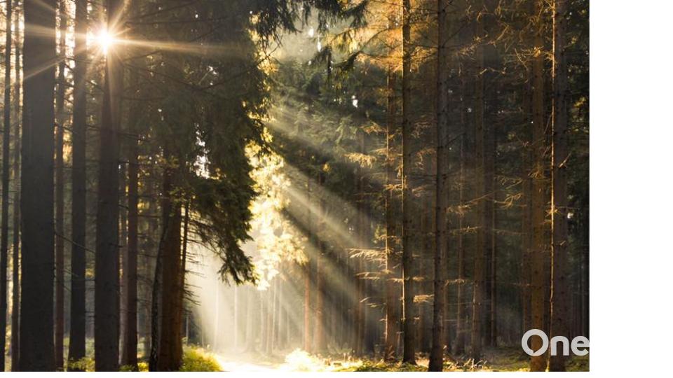 Herbst in der Oberpfalz. Bild: Lena Held