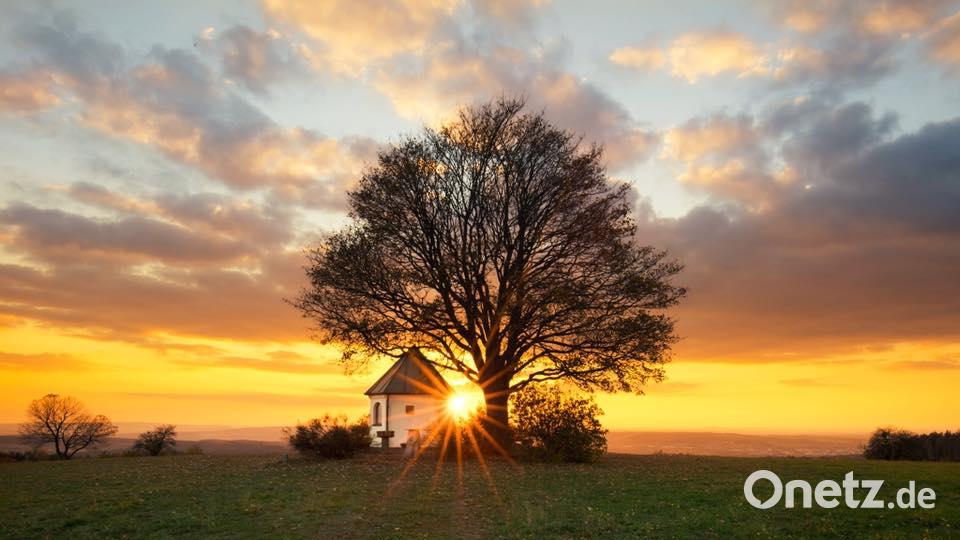 Herbst in der Oberpfalz. Bild: Lena Held