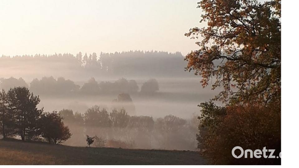 Herbst in der Oberpfalz. Bild: Gisela Janker