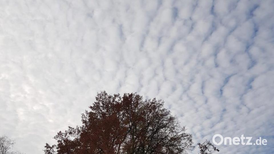 Herbst in der Oberpfalz. Bild: Hans Klinger.