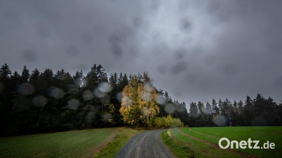Herbst in der Oberpfalz. Bild: Peter Müller
