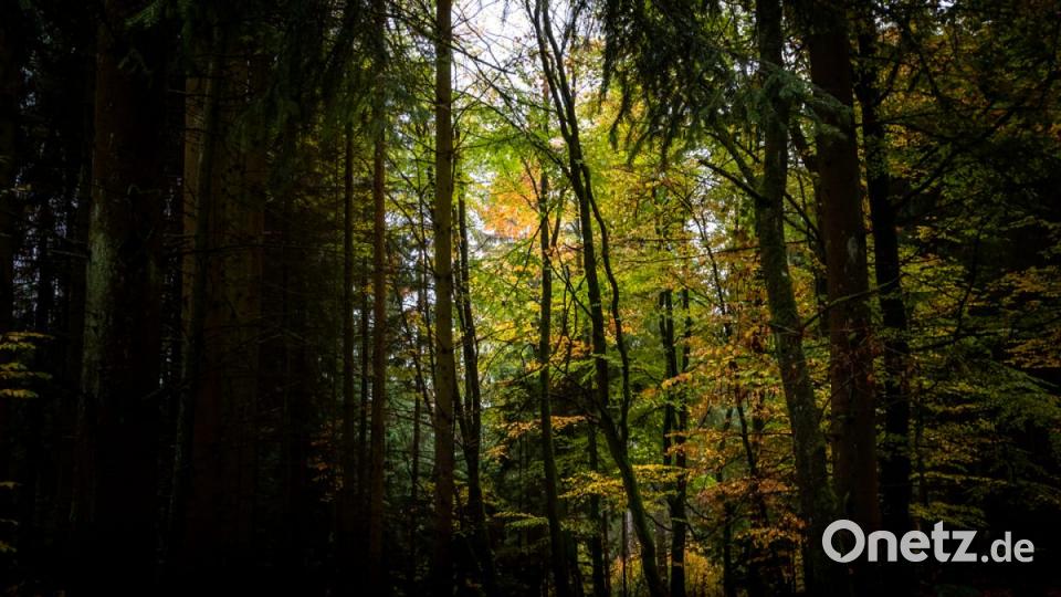 Herbst in der Oberpfalz. Bild: Peter Müller