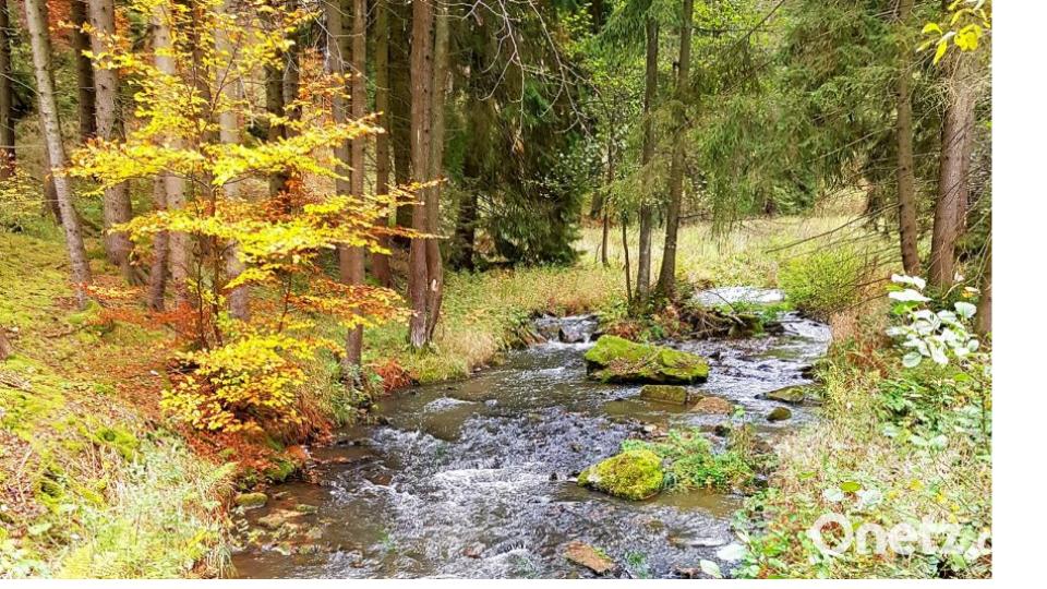 Herbst in der Oberpfalz. Bild: BeTina Leier