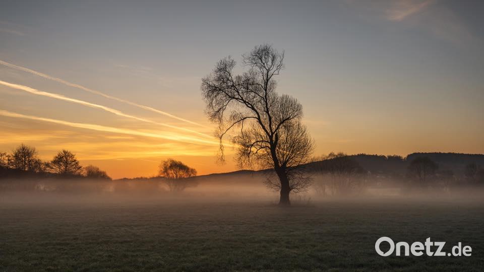Herbst in der Oberpfalz. Bild: Lena Held