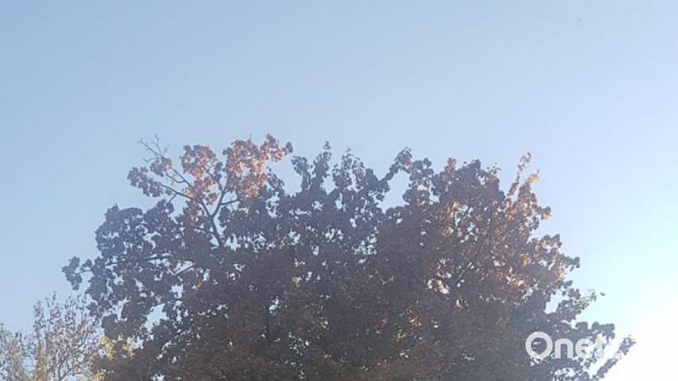 Herbst in der Oberpfalz. Bild: Doris Götz