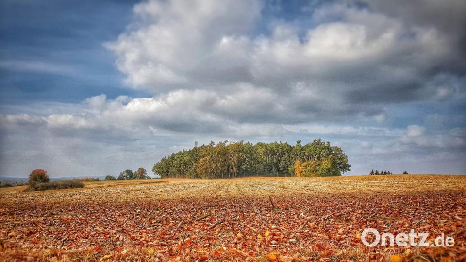 Herbst in der Oberpfalz. Bild: Kilian Thiem