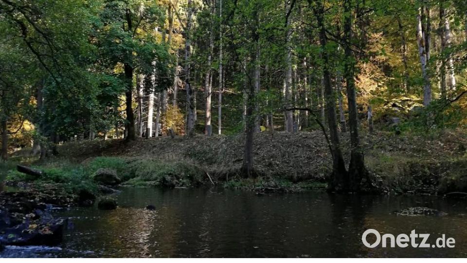 Herbst in der Oberpfalz. Bild: Rosi Stubenvoll