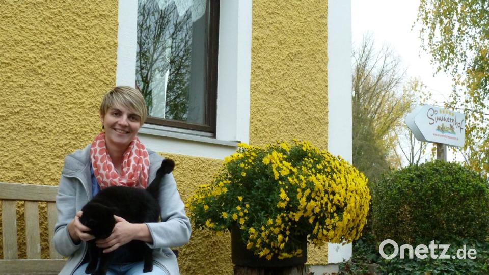 Auf der Hausbank will auch die Katze gekrault werden. Bild: Portner