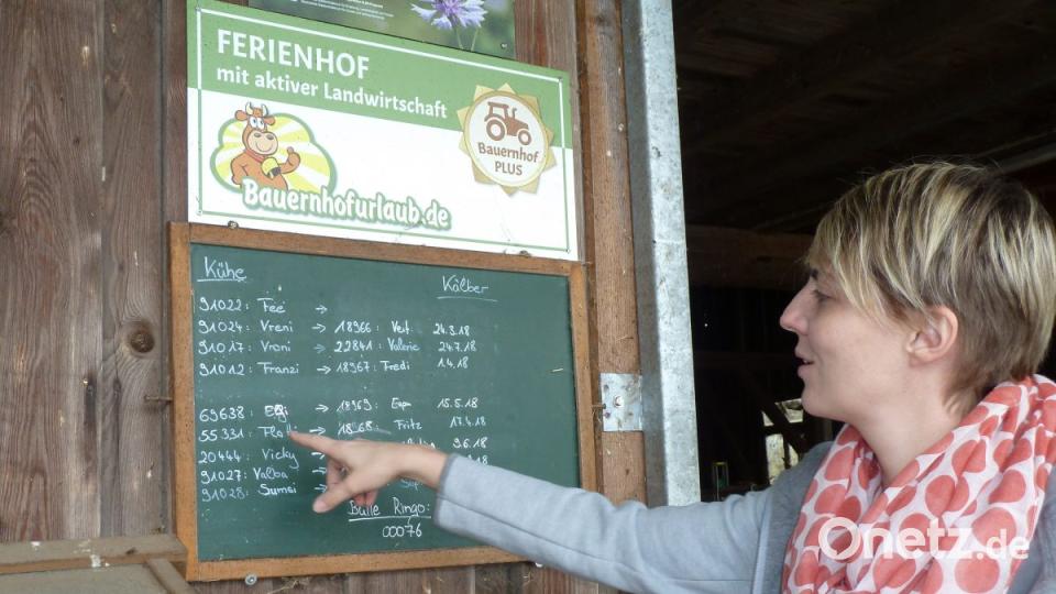 Hier ist der Nachwuchs der Herde nachzulesen, was besonders die Urlauber interessiert. Bild: Portner