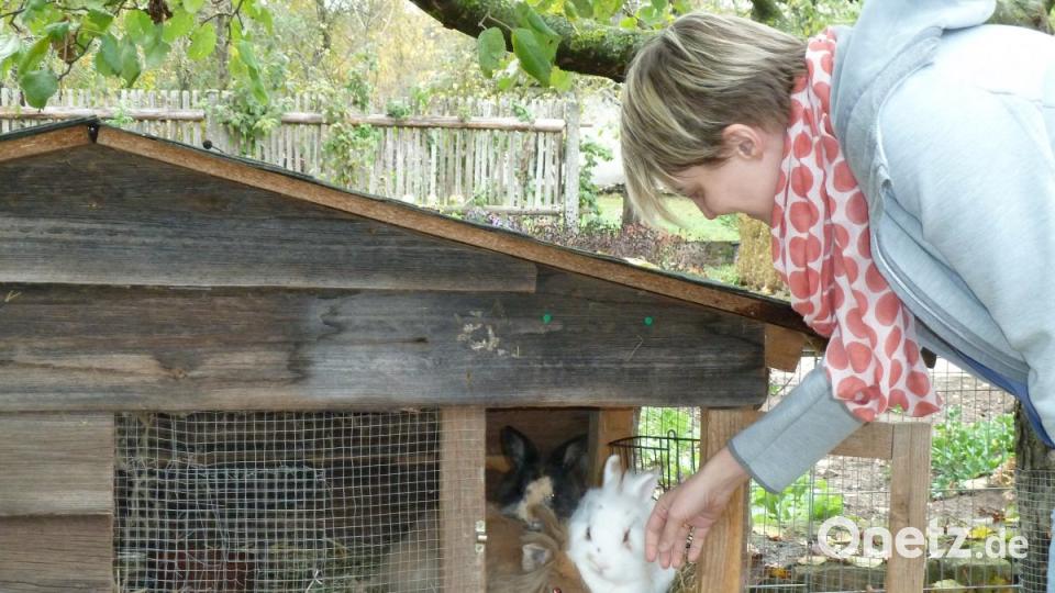 Die Hasen dürfen raus. Bild: Portner