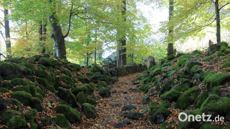 Einer der früheren Zugänge zur Burg am Kulm Bild: stg