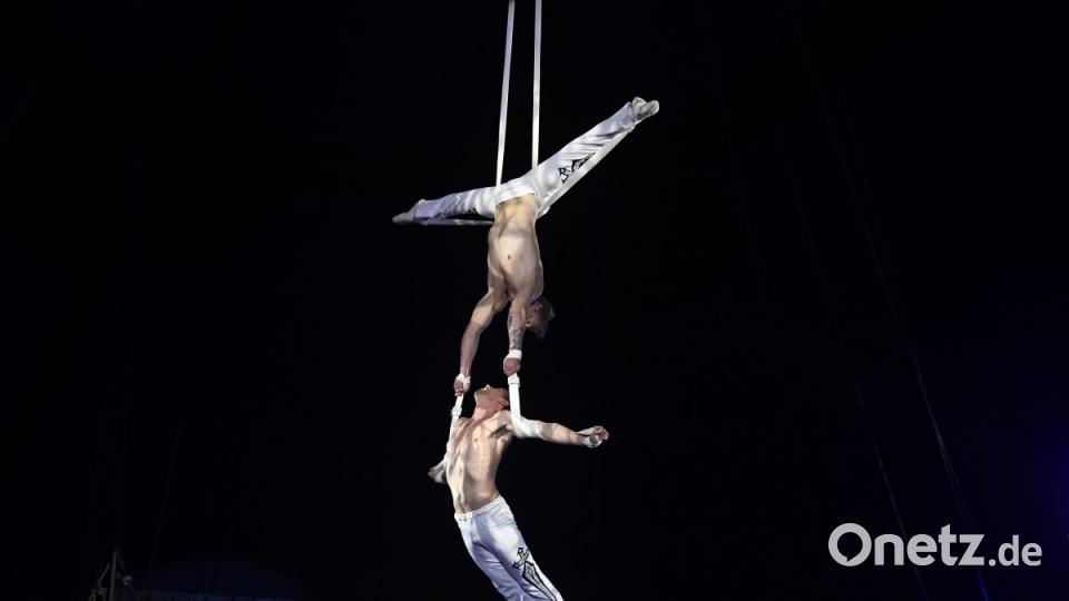 Zirkus Krone in Sulzbach-Rosenberg Bild: Petra Hartl
