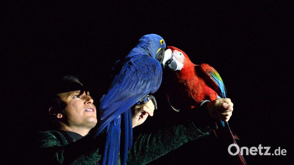 Zirkus Krone in Sulzbach-Rosenberg Bild: Petra Hartl