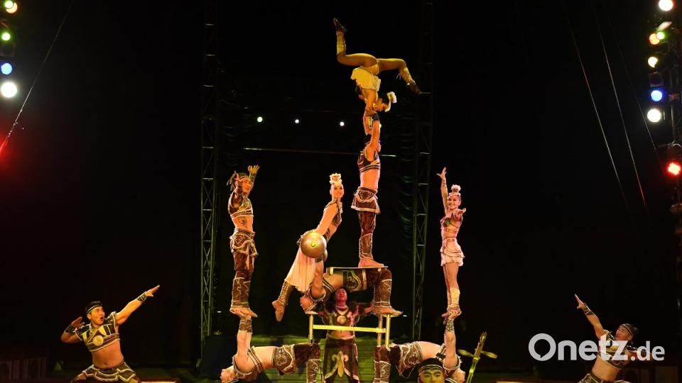 Zirkus Krone in Sulzbach-Rosenberg Bild: Petra Hartl