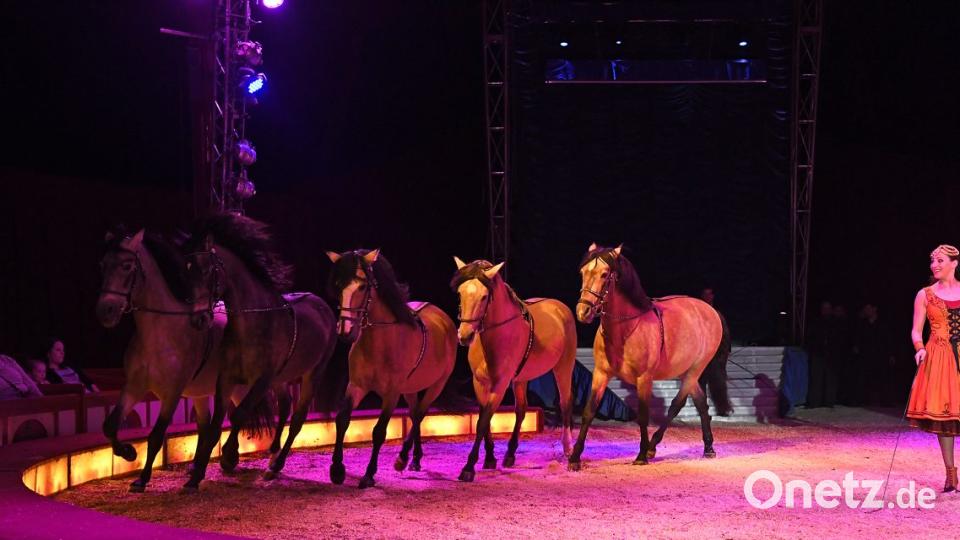 Zirkus Krone in Sulzbach-Rosenberg Bild: Petra Hartl