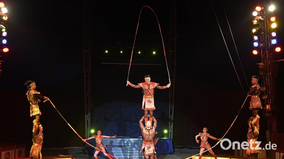 Zirkus Krone in Sulzbach-Rosenberg Bild: Petra Hartl
