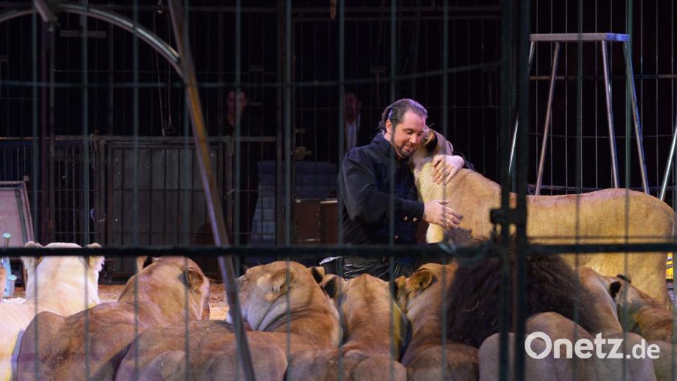 Zirkus Krone in Sulzbach-Rosenberg Bild: Petra Hartl