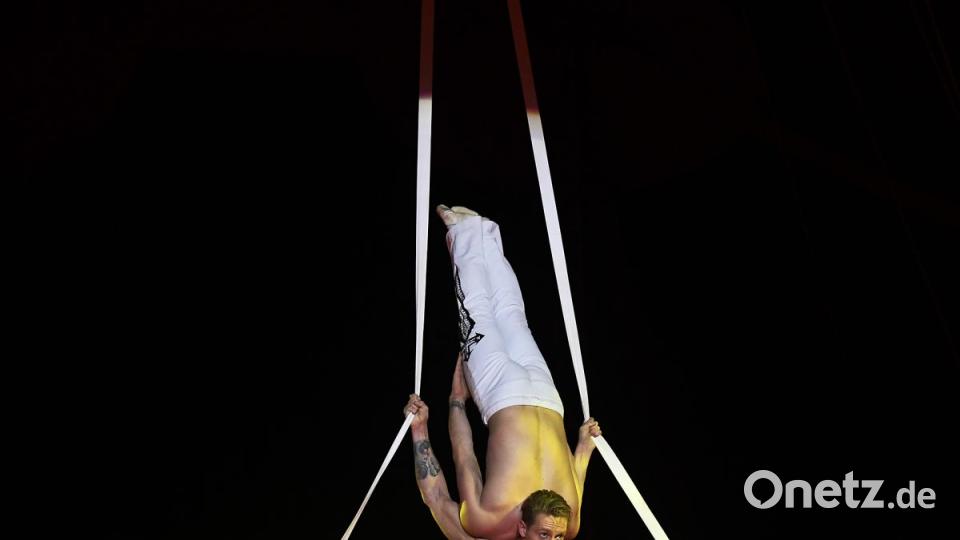 Zirkus Krone in Sulzbach-Rosenberg Bild: Petra Hartl