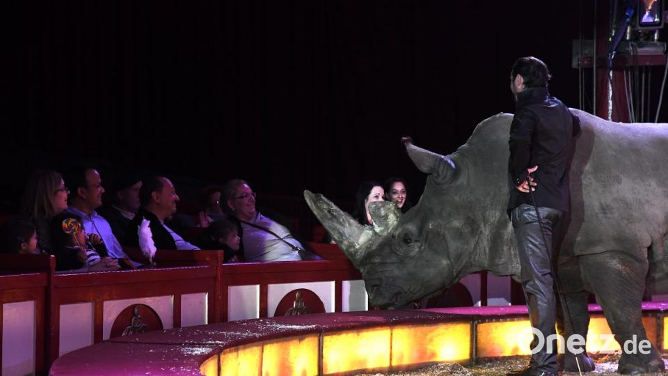 Zirkus Krone in Sulzbach-Rosenberg Bild: Petra Hartl