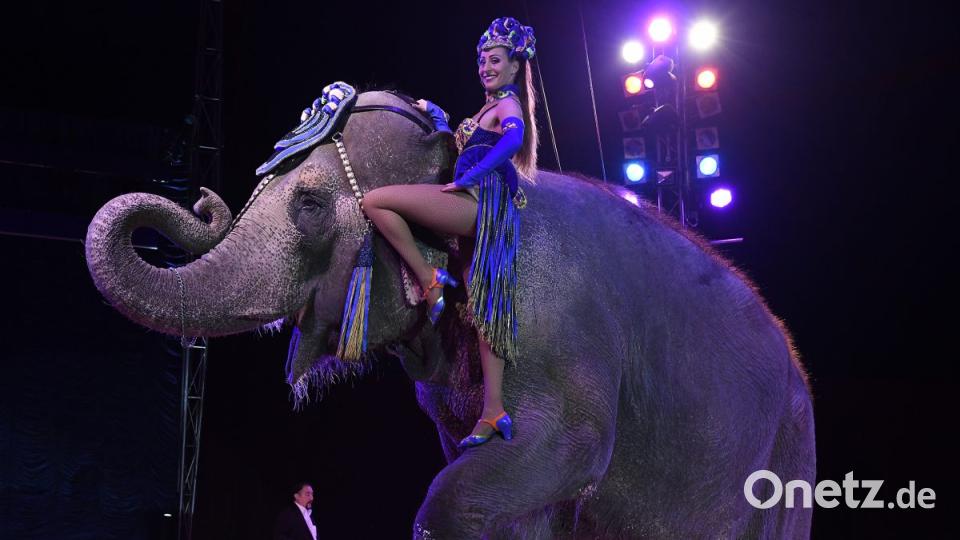 Zirkus Krone in Sulzbach-Rosenberg Bild: Petra Hartl