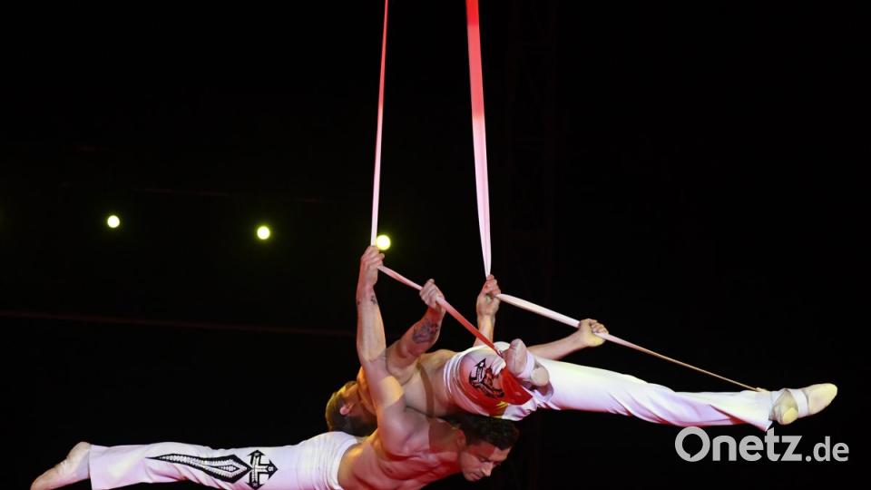 Zirkus Krone in Sulzbach-Rosenberg Bild: Petra Hartl