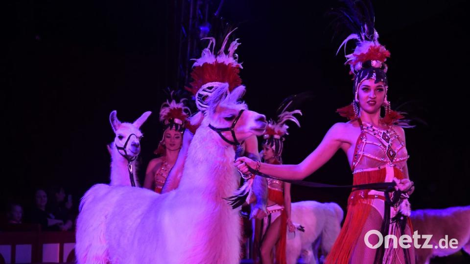 Zirkus Krone in Sulzbach-Rosenberg Bild: Petra Hartl