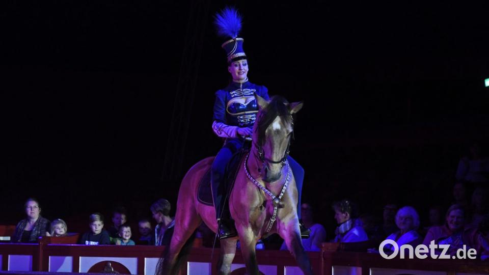 Zirkus Krone in Sulzbach-Rosenberg Bild: Petra Hartl