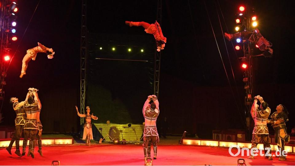 Zirkus Krone in Sulzbach-Rosenberg Bild: Petra Hartl