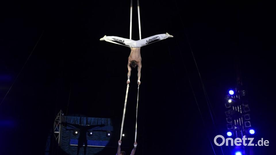 Zirkus Krone in Sulzbach-Rosenberg Bild: Petra Hartl