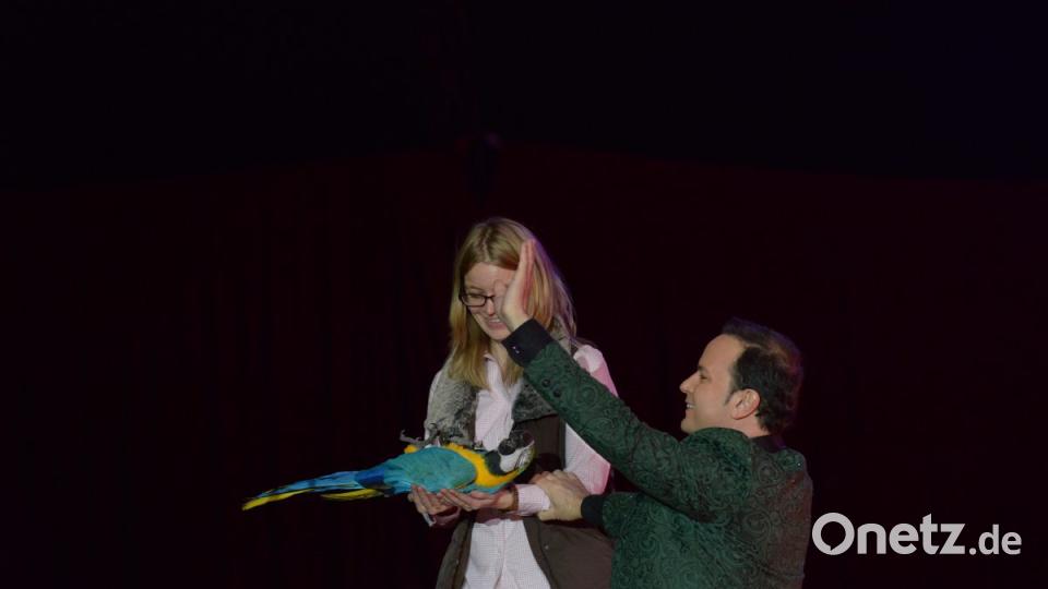 Zirkus Krone in Sulzbach-Rosenberg Bild: Petra Hartl