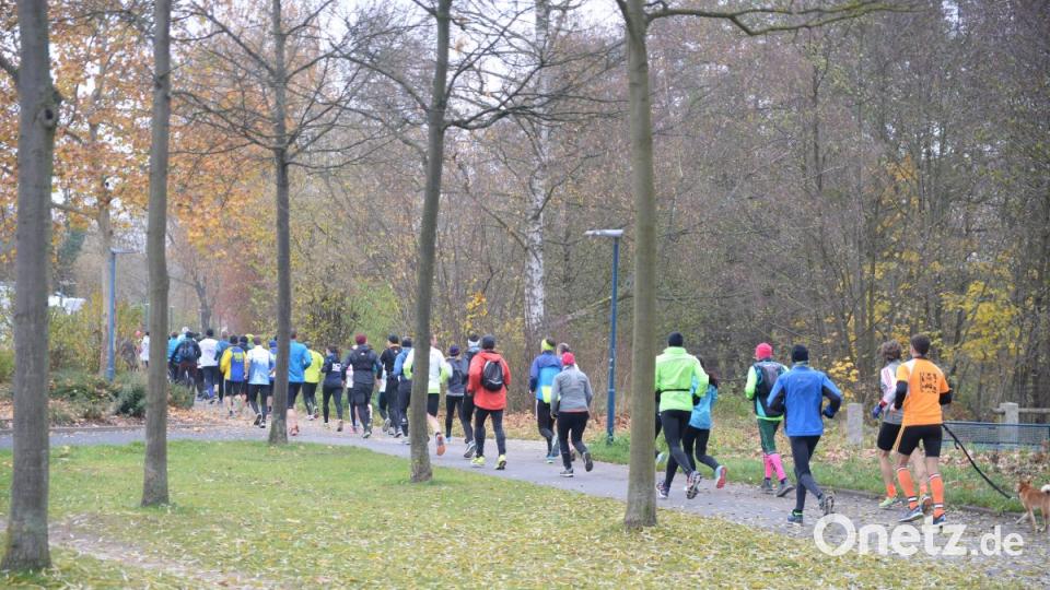 Nach dem Start führte der erste Streckenabschnitt über das Landesgartenschaugelände nach Köfering. Bild: brü