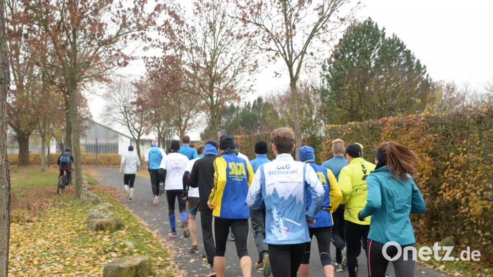 Auf gehts zum 15. Amberger Ultraulauf (AULA) Bild: brü