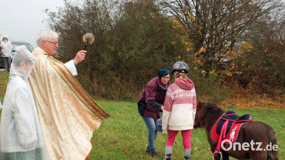 Pferde wie dieses Pony aber auch andere Tiere am Fest des heiligen Leonhard zu segnen, ist alte Tradition in Vilshofen. Bild: sön