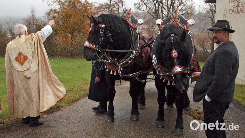 Ganz brav erwarteten die beiden Kaltblüter den Segen durch Pfarrer Gottfried Schubach. Bild: sön