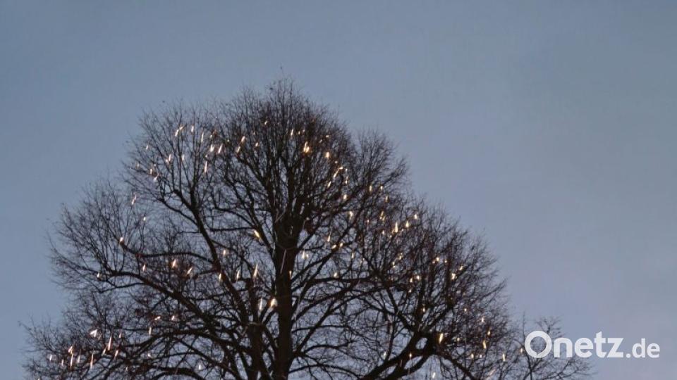 Der Weihnachtsmarkt im und um den historischen Fischhof ist einer der größten Weihnachtsmärkte in der Oberpfalz. Bild: tr