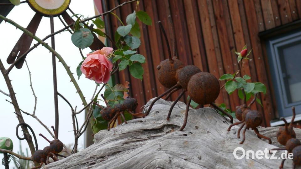 Winterzauber Bild: ga