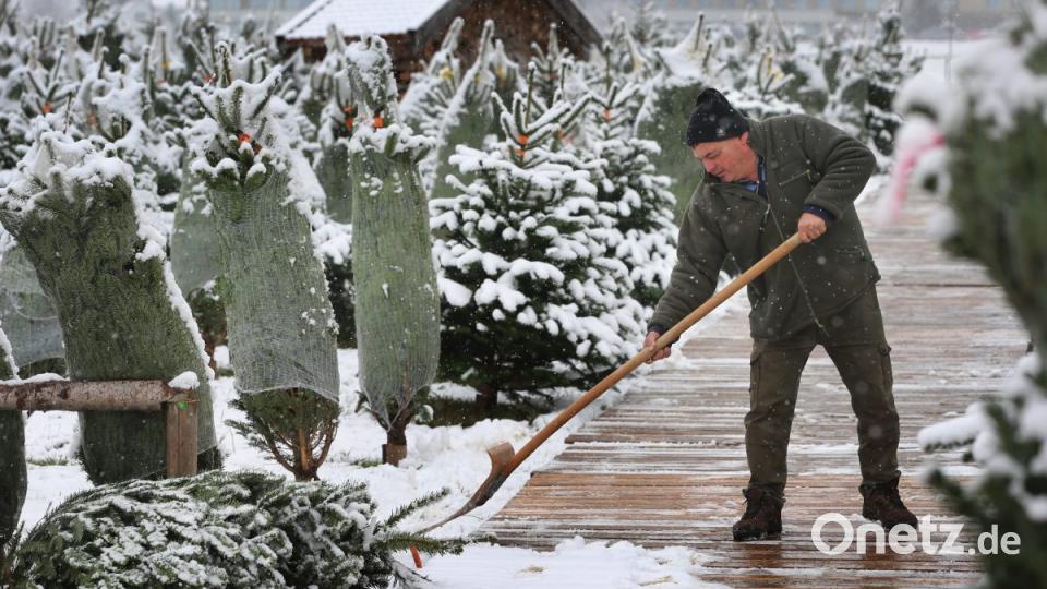 Ein Weihnachtsbaumverkäufer in Kmepten befreit die Wege auf seinem Gelände vom Schnee . Bild: Karl-Josef Hildenbrand/dpa