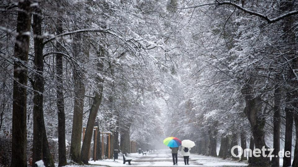 München: Eine Paar geht in einer Allee im Nymphenburger Schlossgarten an einer Reihe schneebedeckter Bänke entlang. Bild: Lino Mirgeler/dpa