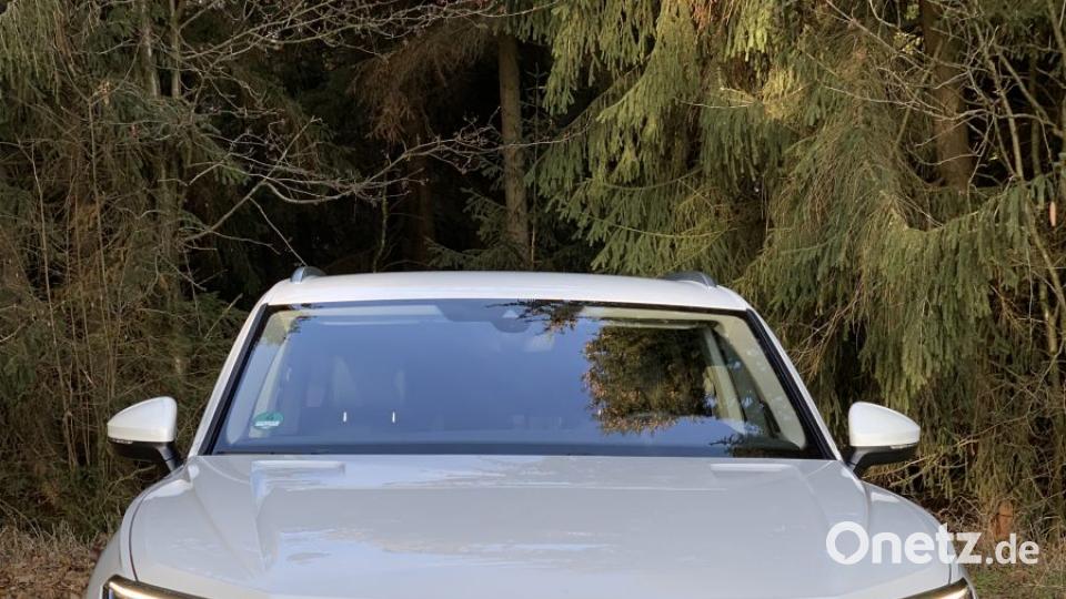 Mit mächtigem Kühlergrill eine imposante Erscheinung Bild: Michael Ascherl