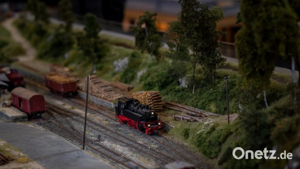 Als Gastverein waren die Modelleisenbahnfreunde Pleystein eingeladen, die ein eigenes Modul zeigten. Dort fanden sich auf kleinem Raum schön gestaltete Bilder, welche die Eslarner Bocklbahn mit Bahnhof und Holzverladezug wiederaufleben ließen. Bild: pml