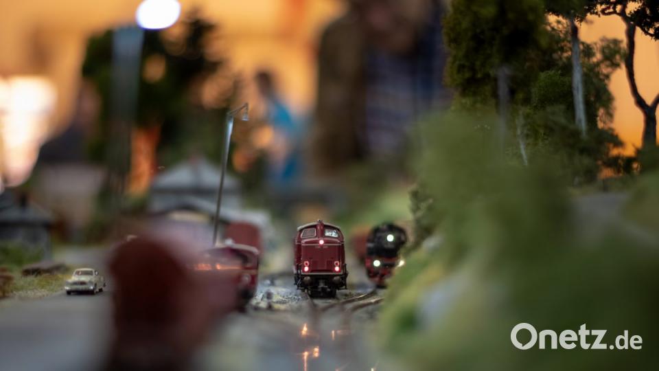 Als Gastverein waren die Modelleisenbahnfreunde Pleystein eingeladen, die ein eigenes Modul zeigten. Dort fanden sich auf kleinem Raum schön gestaltete Bilder, welche die Eslarner Bocklbahn mit Bahnhof und Holzverladezug wiederaufleben ließen. Bild: pml