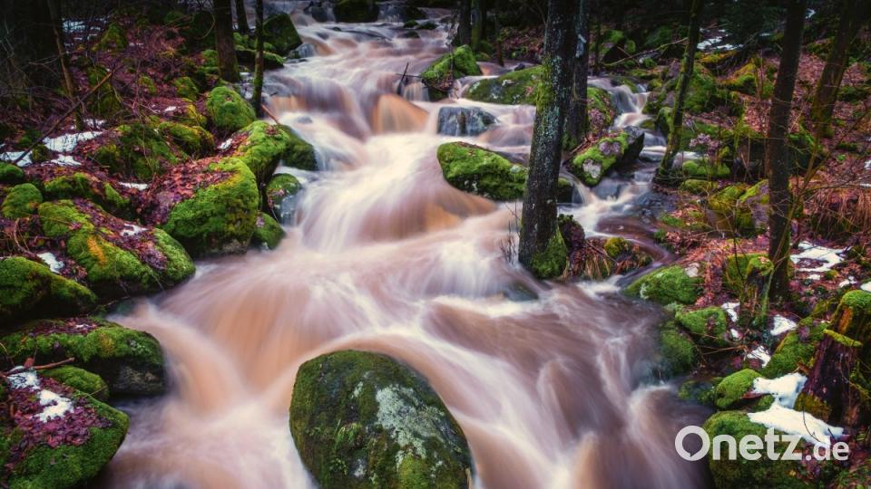 Februar: Karsten Schönberg, Waldershof, Gregnitz. Bild: exb/Karsten Schönberg